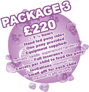 Pony Party Package 3