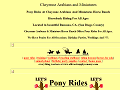 Pony Rides - birthday party pony rides, horseback riding, miniature ponies, riding lessons, Ramona, Ca.