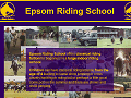 Epsom Riding School - Classical Riding Lessons, Polo Lessons, Gymkhanas, Horse Shows, Parties